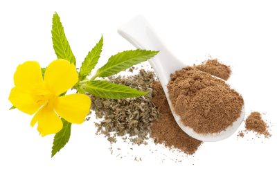 Herbal “Aphrodesiacs”